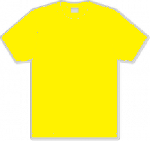 Springhill Catholic Primary School Yellow Cotton Plain PE T Shirt.