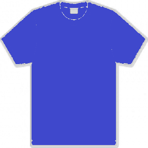 Dunscore Primary School Royal Blue Cotton T Shirt
