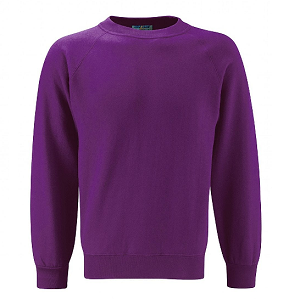 Shirley Warren Primary & Nursery School Purple Cotton/Poly Sweatshirt with School logo.