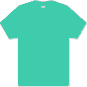 Dalbeattie Primary School 100% Jade Cotton T Shirt with logo