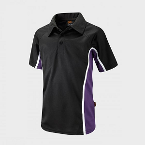 Hounsdown School PE Purple Polo Shirt with school logo