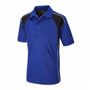 Thornden School PE Royal Blue Polo Shirt with school logo