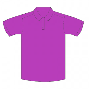 New Machar Nursery Purple Polo Shirt with School logo