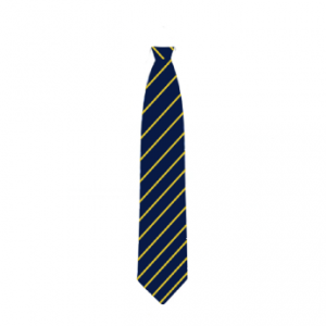 Wyvern College Tie