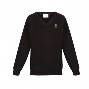 Wyvern V Neck Navy Knitted Jumper with School logo