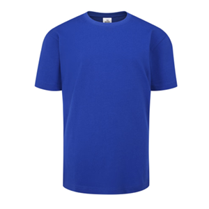 Strathburn Primary School Royal Blue Cotton House T-Shirt with logo