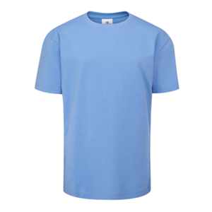 Woodland View Primary School Sky Blue T-Shirt with logo