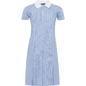 Avon Summer Dress Blue