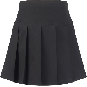 Junior Panel Full Pleated Skirt