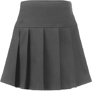 Junior Panel Full Grey Pleated Skirt